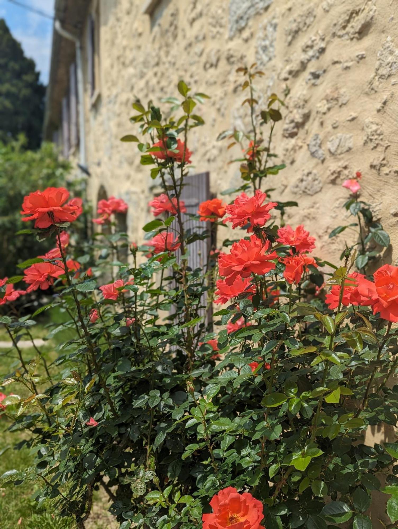 Mas De La Gramillere Hotel Barbentane Buitenkant foto